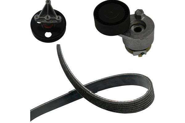 KAVO PARTS Комплект клинового ремня DKM-6509